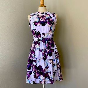 Banana Republic Size 2 Dress